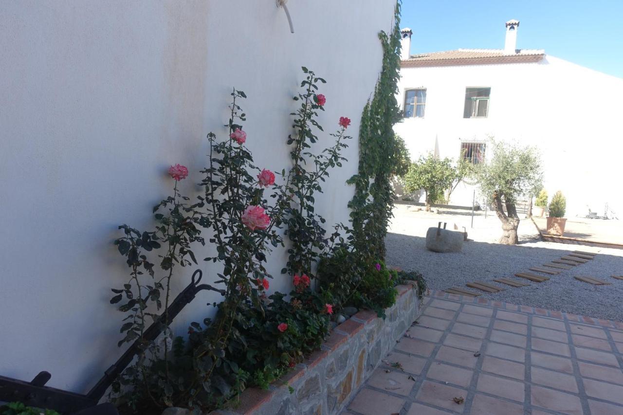 Galwey, Tourist Appartments With Wifi Малага Экстерьер фото
